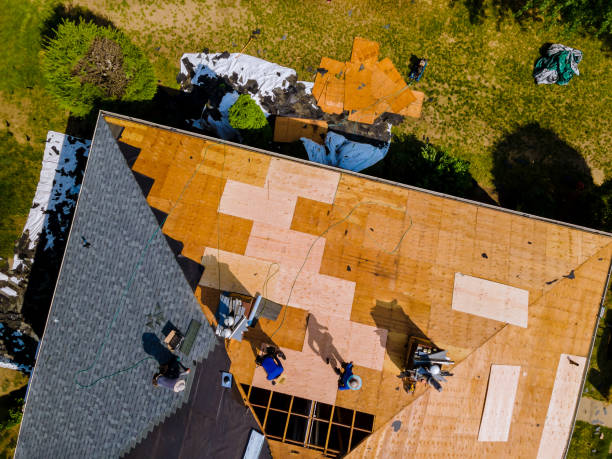 Best Roof Gutter Cleaning  in Johnsonburg, PA
