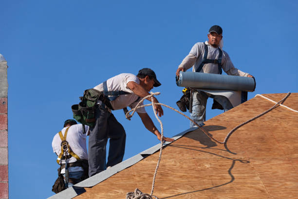 Best Shingle Roofing Installation  in Johnsonburg, PA